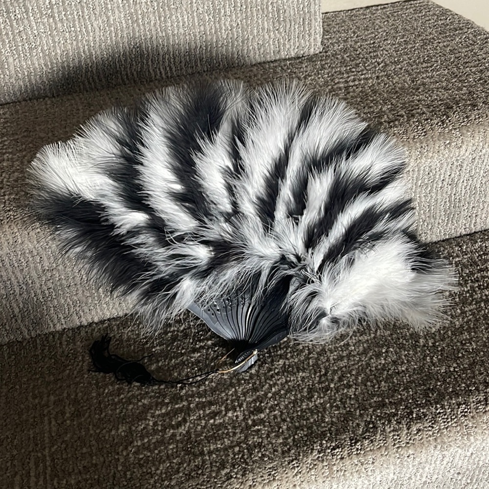 Gorgeous black and white fan ! - Picture 1 of 3